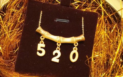 520写给女朋友的话（给女朋友的520祝福短信）