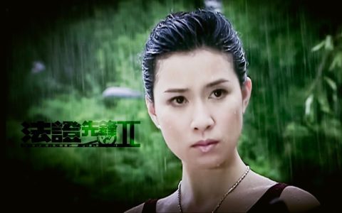 yes madam的中文意思（madam是女警官吗）