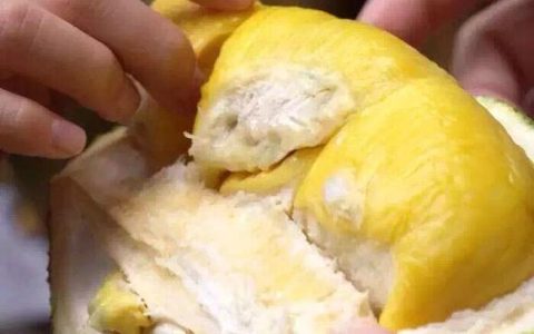 快速催熟榴莲的方法（怎样才能快速催熟榴莲）
