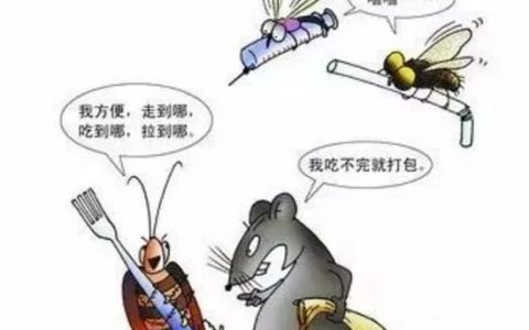 蟑螂有哪些害处（蟑螂有什么害处）
