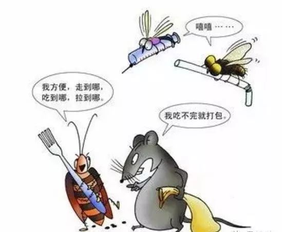 蟑螂有哪些害处（蟑螂有什么害处）