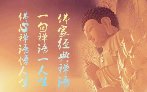 佛语禅心净化心灵（净化心灵的句子）