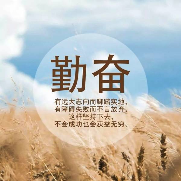 敬业的句子经典语录（敬业名言警句）