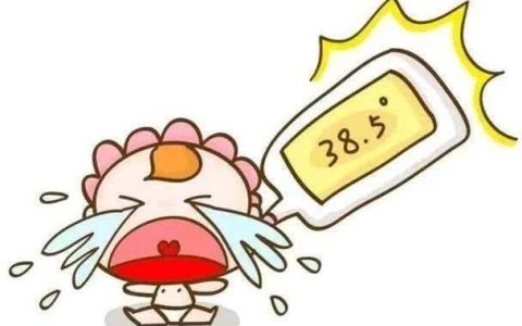 发烧能上飞机吗