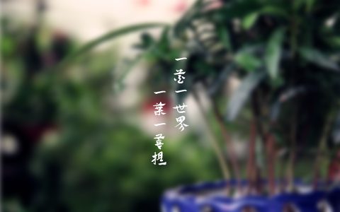 一花一世界的完整诗句（一花一世界一叶一菩提什么意思）