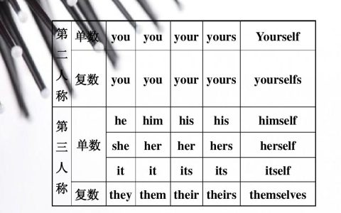 theirs什么意思（theirs和their的区别）