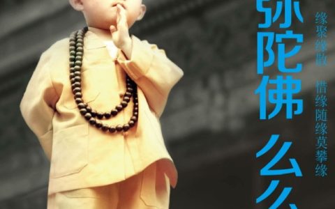 大冰经典语录（大冰经典句子）