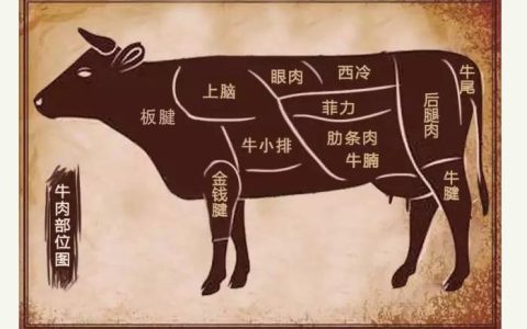 牛的上脑肉是哪个部位（什么是牛上脑肉）
