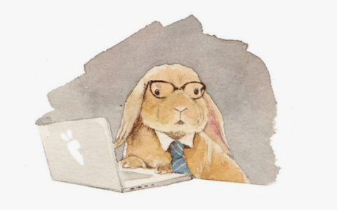 rabbit英语是什么意思（hare和rabbit的区别）