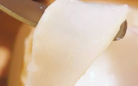 椰子里面白色的椰肉可以吃吗(椰子里的白肉怎么吃)