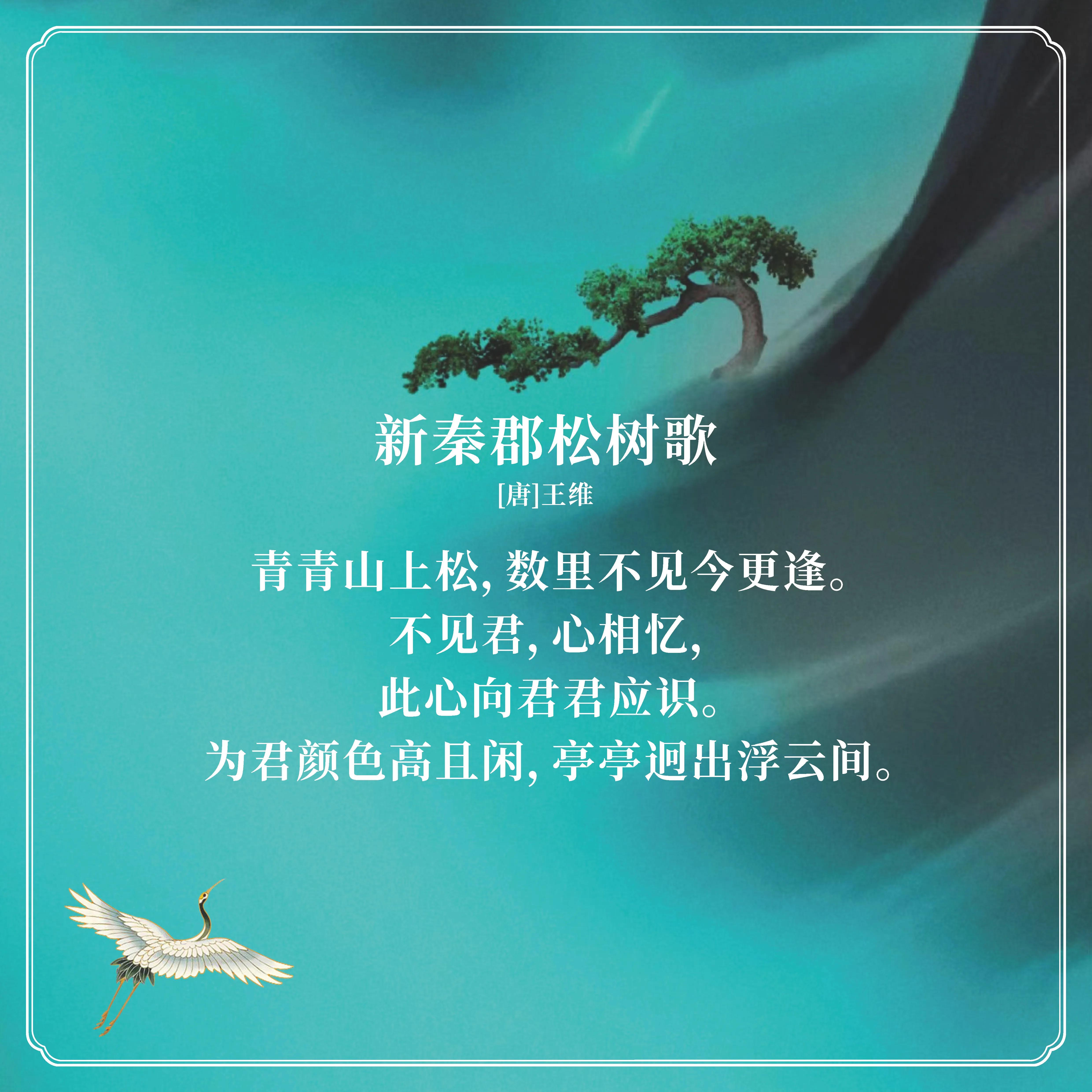 描写松树的优美句子（松树发朋友圈的句子）