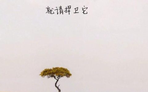 描写松树的优美句子（松树发朋友圈的句子）