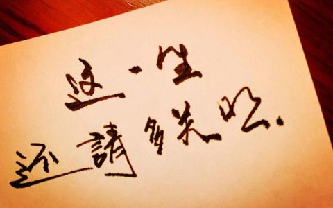 关照是什么意思（历史关照是什么意思）
