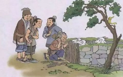 亡羊补牢的亡（亡羊补牢中亡的意思是什么）