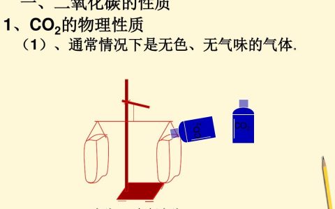 二氧化碳有什么性质（二氧化碳有什么化学性质）