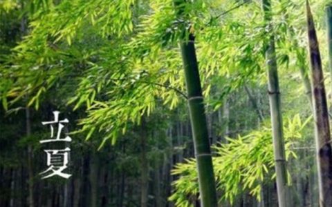立夏的来历由来及历史故事（立夏的由来简介）