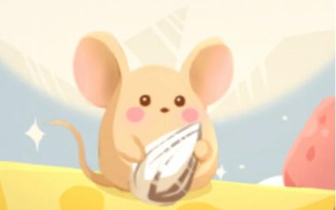 梦见猫抓老鼠是什么预兆周公解梦