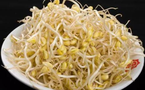 豆芽放冰箱可以放多久（豆芽的营养价值）