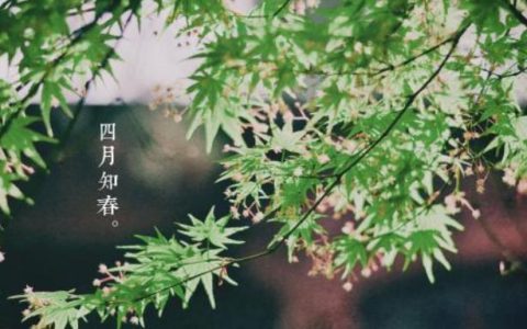 四月的古代雅称是什么？四月月份的别称