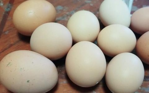 隔水蒸鸡蛋几分钟能熟？