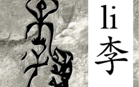 李姓是怎么来的（李姓最早的祖先是谁）
