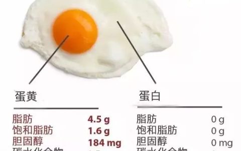一个鸡蛋约为多少克（1个鸡蛋约多少克）