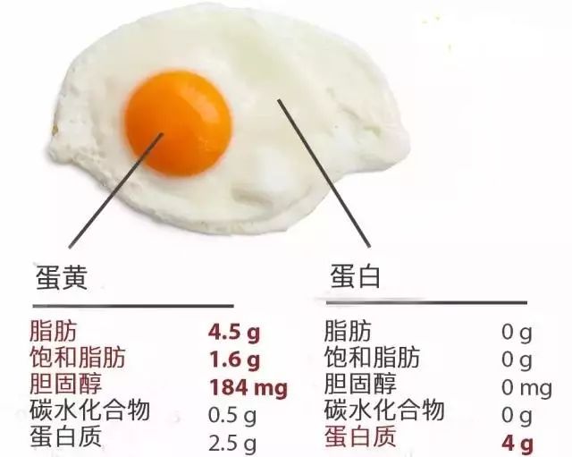 一个鸡蛋约为多少克（1个鸡蛋约多少克）