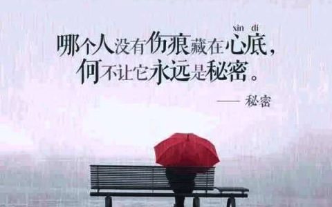 失望至极的文案简短（发朋友圈的失望的短句子）