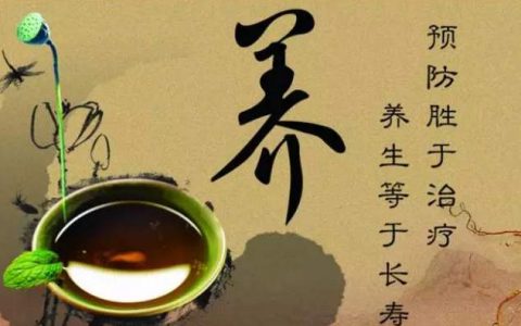 养生的句子经典语录（养生的经典句子）