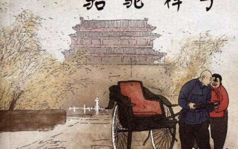 骆驼祥子表达了什么（老舍骆驼祥子想表达什么）
