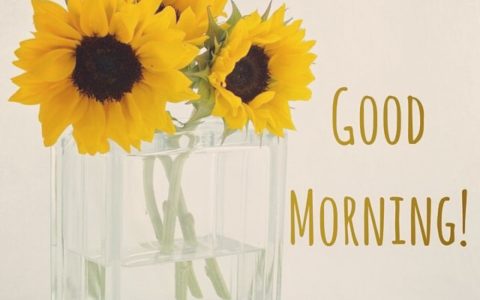 morning是什么意思（moring与morning区别）