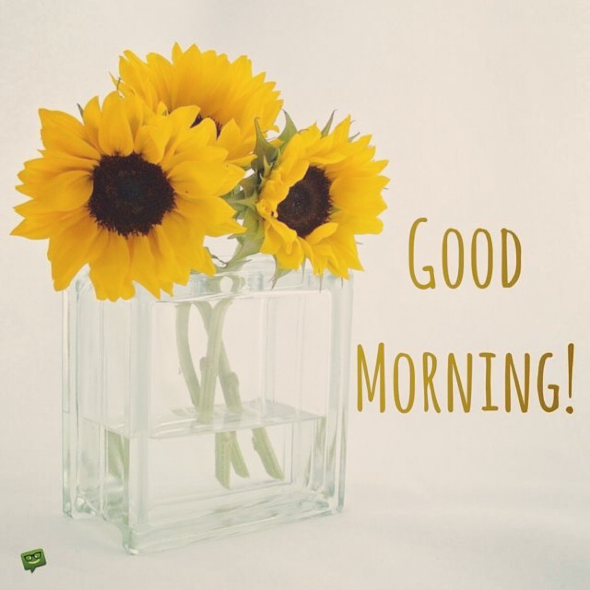 morning是什么意思（moring与morning区别）