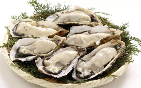 生蚝可以冷冻吗？生蚝的保存方法