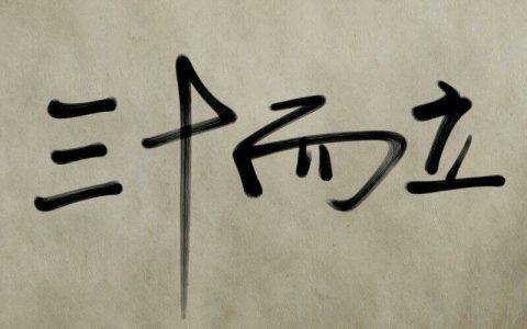 三十岁是什么年华（三十岁是什么之年）