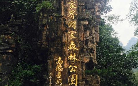 我国第一个森林公园建立在哪里（我国第1个森林公园是）