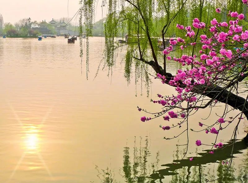 形容春暖花开的古诗词（春暖花开诗句）