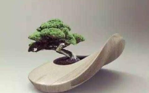 方寸之间什么意思？