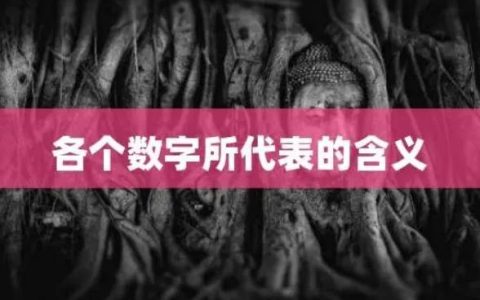 319是什么意思？特殊数字的含义