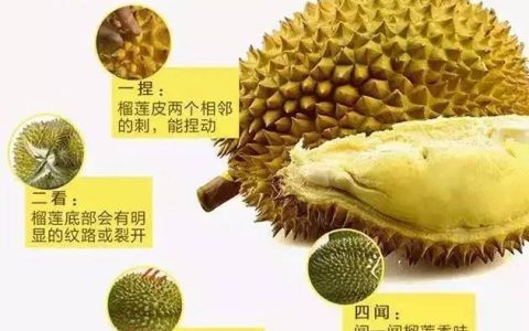 榴莲怎么快速催熟（没有熟的榴莲怎么催熟）
