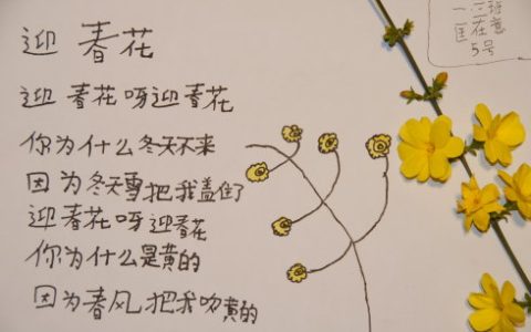 描写迎春花的优美句子(描写春天迎春花的句子)