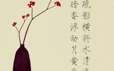暗香疏影形容哪种花（暗香疏影横斜水清浅什么意思）