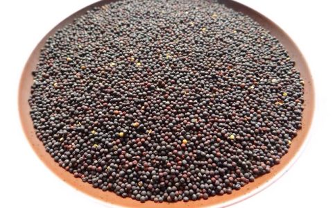 seeds是什么意思（seeds和seed的区别）