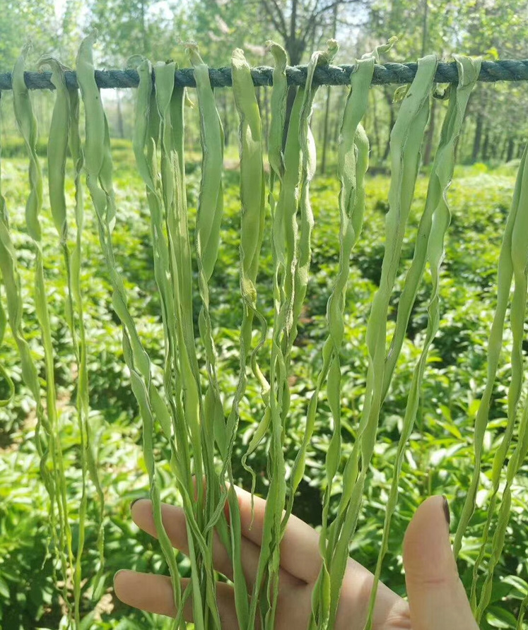 贡菜干要泡多久（贡菜干是什么菜制成的）