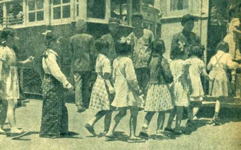 民代幼是什么意思（民代幼是哪些群体）