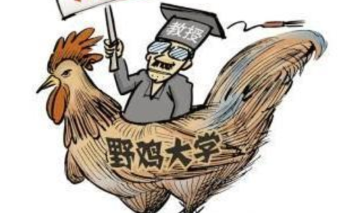 什么叫野鸡大学（什幺是野鸡大学）