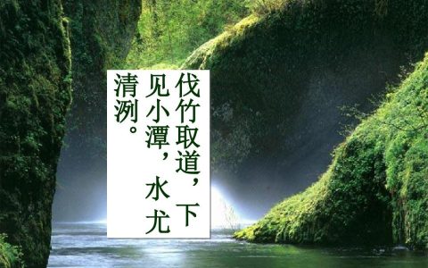 水尤清冽的冽是什么意思（伐竹取道下见小潭水尤清冽出处）