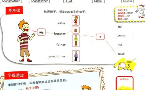 family是什么意思（family是单数还是复数）