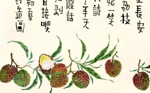 形容荔枝的诗句（关于荔枝的诗句）