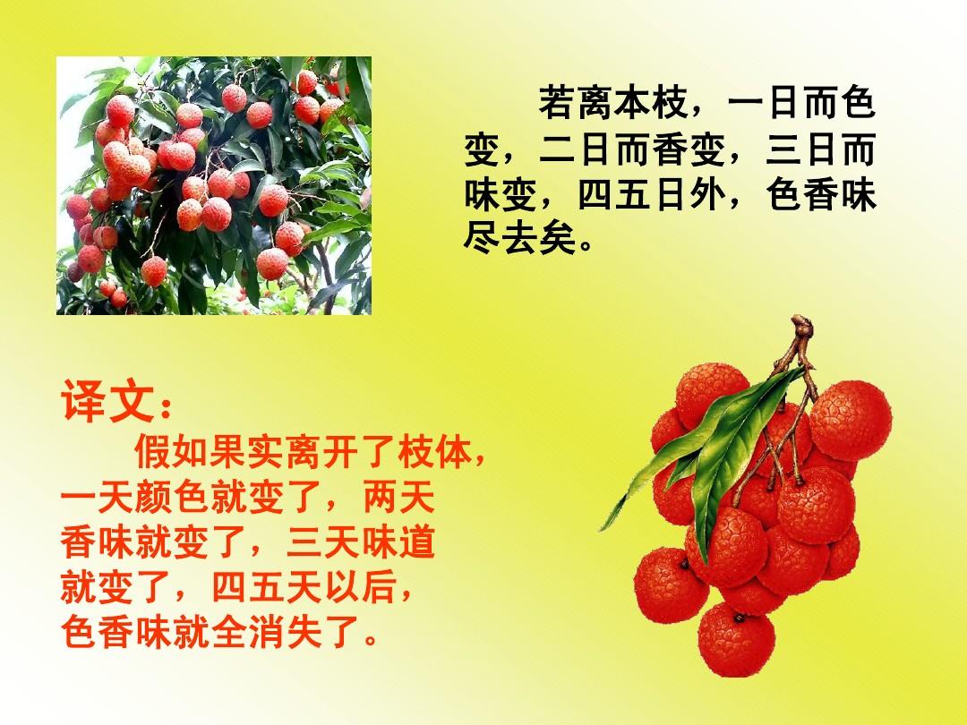 形容荔枝的诗句（关于荔枝的诗句）