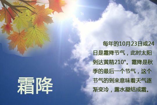 霜降的句子短句唯美（霜降的唯美简短句子）